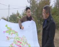 周本宏和他的生态农业小镇
