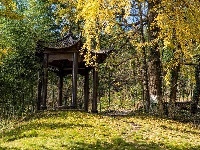 洛阳镇银杏谷：一个来了就不想走的地方