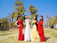 洛阳镇银杏谷：一个来了就不想走的地方