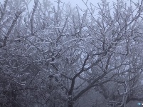 楚北天空第一峰迎今年入冬第一场雪