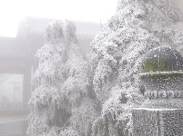 楚北天空第一峰迎今年入冬第一场雪