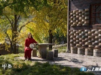 洛阳镇银杏谷：一个来了就不想走的地方