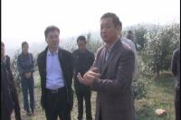 市人大组织调研全市林业资源管理工作