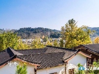 洛阳镇银杏谷：一个来了就不想走的地方