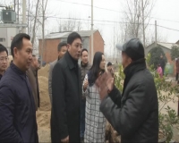 林常伦调研我市城乡人居环境治理工作