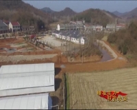 三里岗贾家村：连片香菇大棚撑起“脱贫梦”