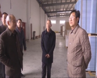 V视 | 程敦怀调研我市印刷出版行业工作