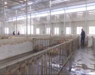 众利肉联：打造全省县级屠宰行业标杆企业