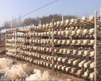 2017年12月8日 社会全方位