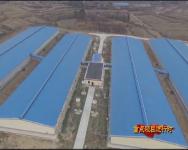 中粮50万头生猪养殖项目 生态循环养殖带动周边居民共同致富