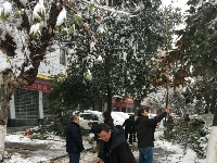 市住建委机关干部深入到白云大道、迎宾大道铲除道路积雪