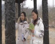 千年银杏谷：旅游淡季“回头看”补齐环境短板