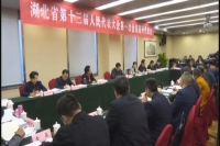 王祥喜参加随州代表团审议省《政府工作报告》提出坚定不移推进特色发展高质量发展