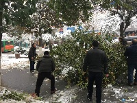 市住建委机关干部深入到白云大道、迎宾大道铲除道路积雪