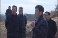 李国寿调研随县精准灭荒和森林防火工作
