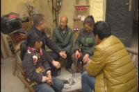 新春祝福温暖随城