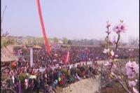 抢抓乡村振兴战略机遇 打造乡村旅游片区