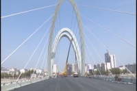 甘国栋调研氵厥水一桥建设