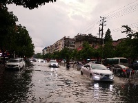 昨晚，随州突降暴雨，城区一片汪洋