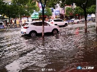 昨晚，随州突降暴雨，城区一片汪洋
