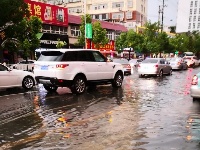 昨晚，随州突降暴雨，城区一片汪洋