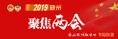 随州“两会”报道