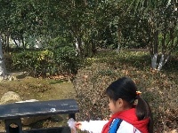 聚奎门学校开展“关爱他人，关爱社会，关爱自然”主题学雷锋活动