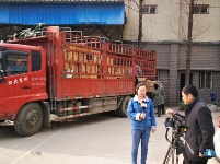 随州市烟草部门对收缴的价值380多万元的假冒伪劣烟草集中销毁