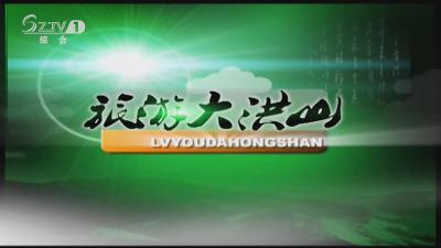 2019年4月5日 旅游大洪山