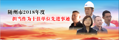 随州市2018年度担当作为十佳单位先进事迹