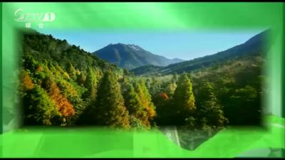 2019年5月24日旅游大洪山