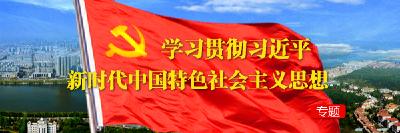 学习贯彻习近平新时代中国特色社会主义思想 