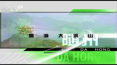 2019年8月16日旅游大洪山