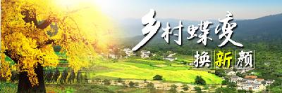 夯实美丽乡村基础   助推品质随州建设