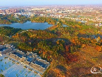 七彩随县|紫薇红叶染醉了环城路上的梧桐