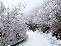 2020初雪后 楚北第一峰大洪山美到不忍打扰