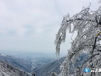 2020初雪后 楚北第一峰大洪山美到不忍打扰