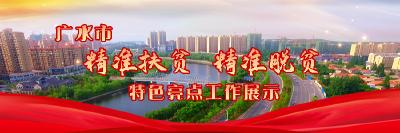 广水市精准扶贫、精准脱贫特色亮点工作展示