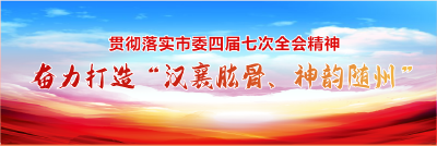 奋力打造“汉襄肱骨、神韵随州”