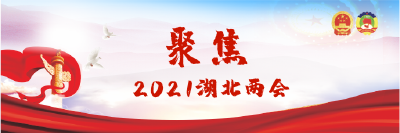 聚焦·2021湖北两会