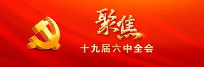 聚焦党的十九届六中全会