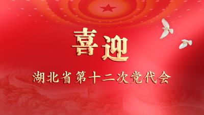 喜迎湖北省第十二次党代会