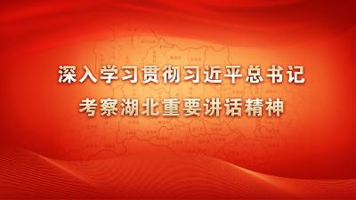 深入学习贯彻习近平总书记考察湖北重要讲话精神