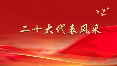二十大代表风采