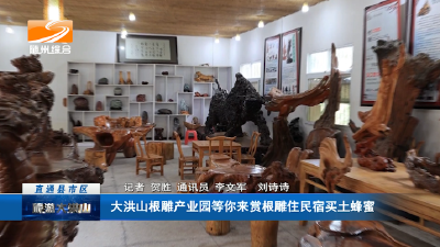 大洪山根雕产业园等你来赏根雕住民宿买土蜂蜜