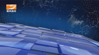 2022年11月3日随县新闻