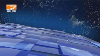 2022年11月5日随县新闻