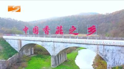 2022年12月14日随州新闻