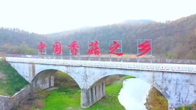 2022年12月2日 随州新闻