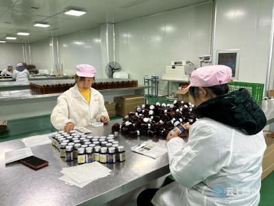 集蜂堂：忙生产赶订单 全力奋战开门红